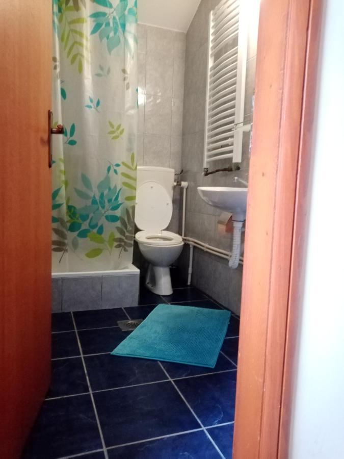 Apartments Dobra Vila Zlatibor Luaran gambar